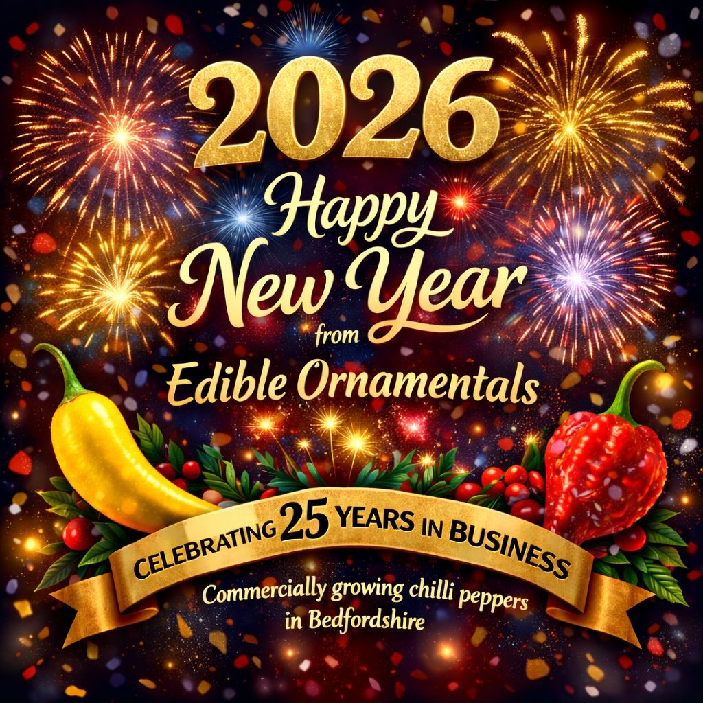 edibleornamenta's tweet image. 🎉🌶️ Happy New Year from Edible Ornamentals!

2026 marks 25 years of commercially growing chilli peppers in Bedfordshire — and we’ve got exciting plans ahead.

Follow us on:
📸 Instagram: instagram.com/edibleornament…
📘 Facebook: facebook.com/Edible.Ornamen…

#HappyNewYear2026 #ChilliFarm