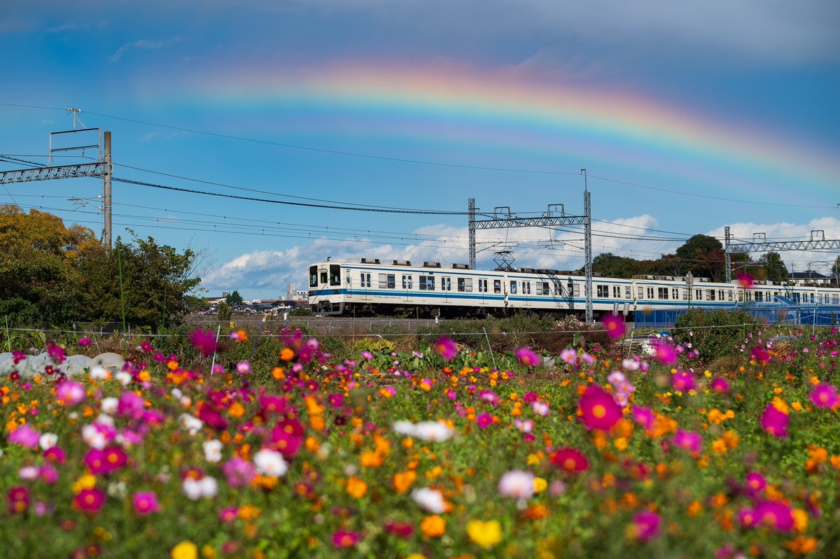 2025年、ありがとうございました。
来年も線路側でよろしくお願いします。

2025/11/10 東武野田線　8170F