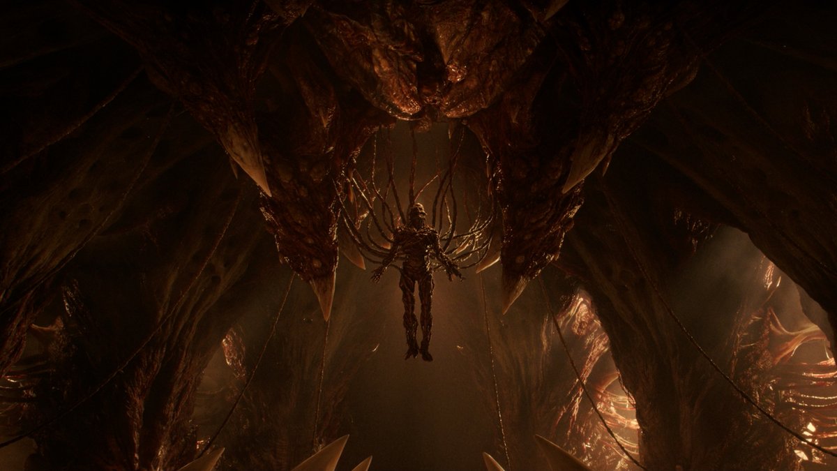 Netflix Polska tweet media