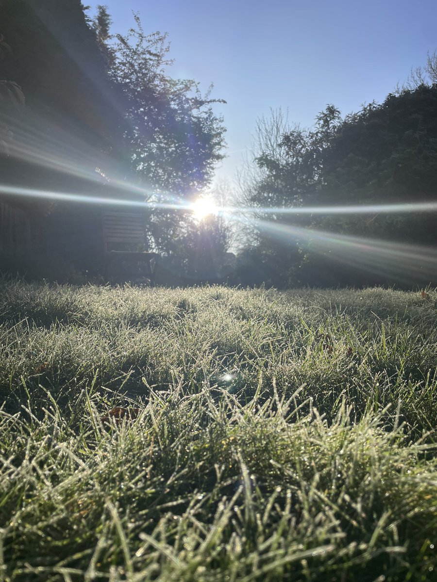 mizzmarathon's tweet photo. A frosty end to 2025. Happy New Year to all my followers - wishing you good health and fortitude for 2026 ❄️🎄🤍💫 https://t.co/fbbL5wfo8d