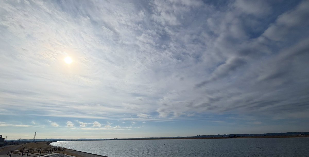 来年は渾沌とした世界が少しでも良くなりますように。平和になりますように。傷が癒やされますように。