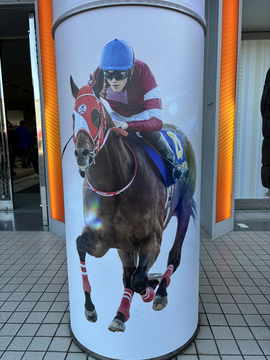 今年は天皇賞秋、ジャパンカップ、有馬記念と古馬三冠全て馬券当てて