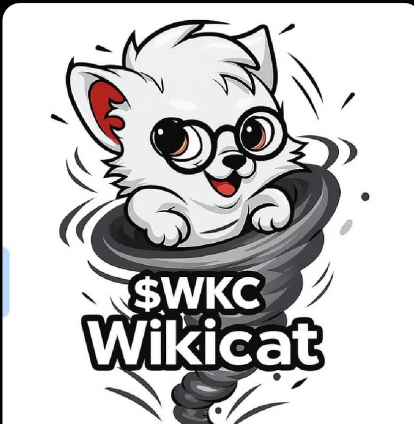 2025 was a blessing to all believers 
Come 2026 we go again 

$WKC
<a href="/wikicatcoin/">Wiki Cat</a>