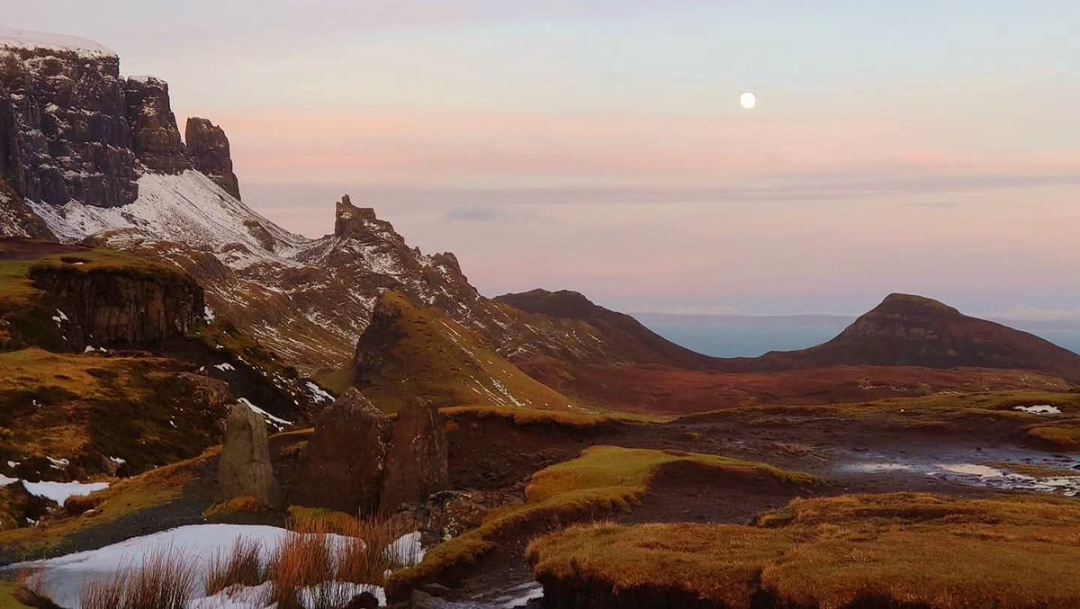 Don Esson tweet media