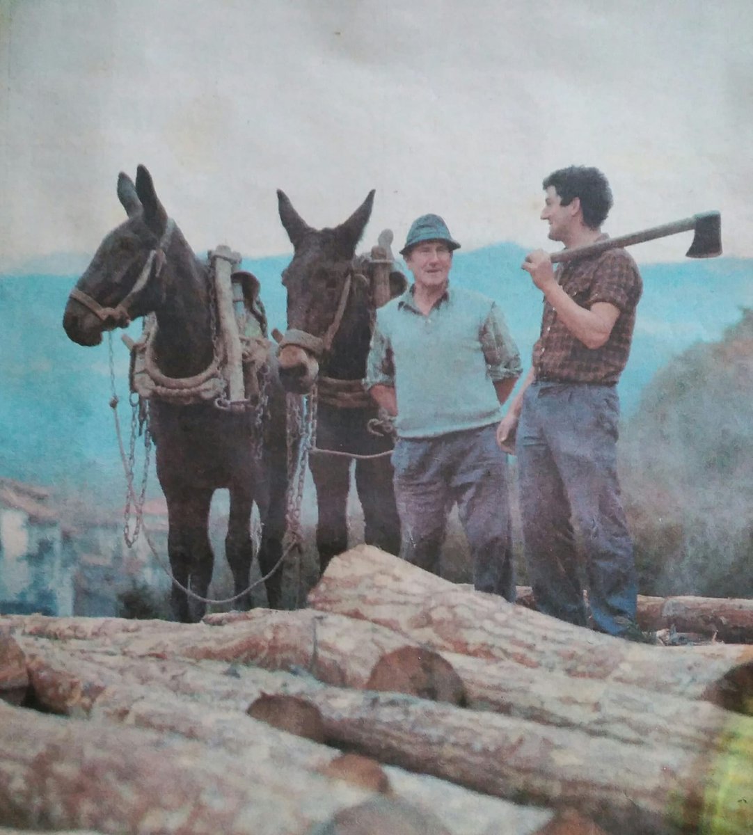 Hoy despedimos a Tomás Sanz Glaría, de casa Miguel Angel de Burgui, recién cumplidos los 104 años. Último almadiero veterano vivo que nos quedaba. Desaparece con él una generación de vida almadiera. Descanse en paz. Goian bego.