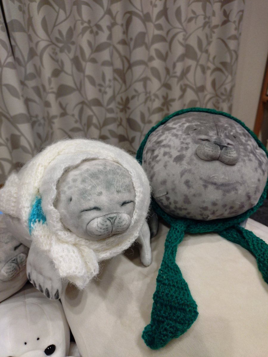 Kameria78's tweet photo. ああぁぁぁ���
もう今年終わっちゃう〜💦

今年もアザラシ達とアザラーの皆様には大変癒しを頂きまして、本当に有難うございました。
おかげで生き残る事が出来ました。
来年はもう少しアザ活頑張れたらいいな🦭 https://t.co/2wifbty3cU