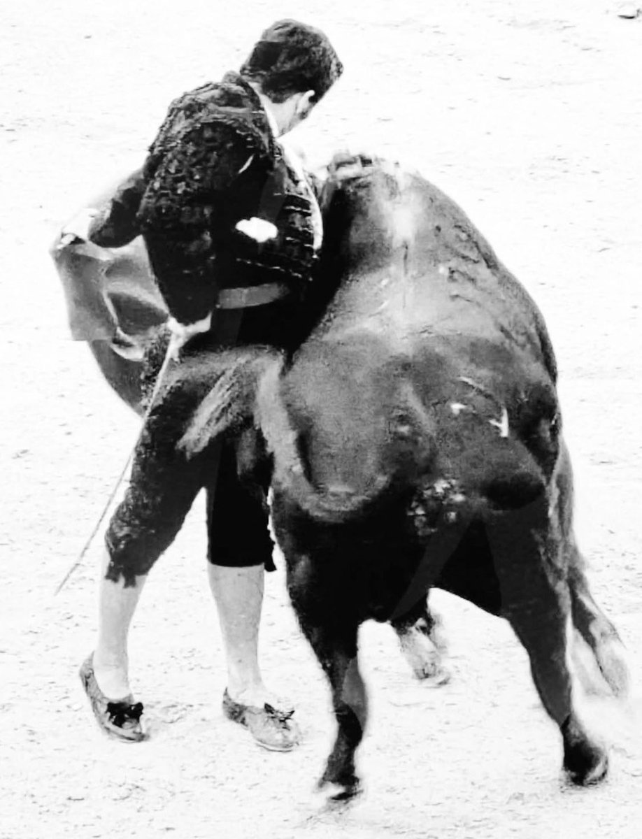 Se va el año de nuestras vidas, ojalá este 2026 sea la mitad de bueno.

Feliz año.