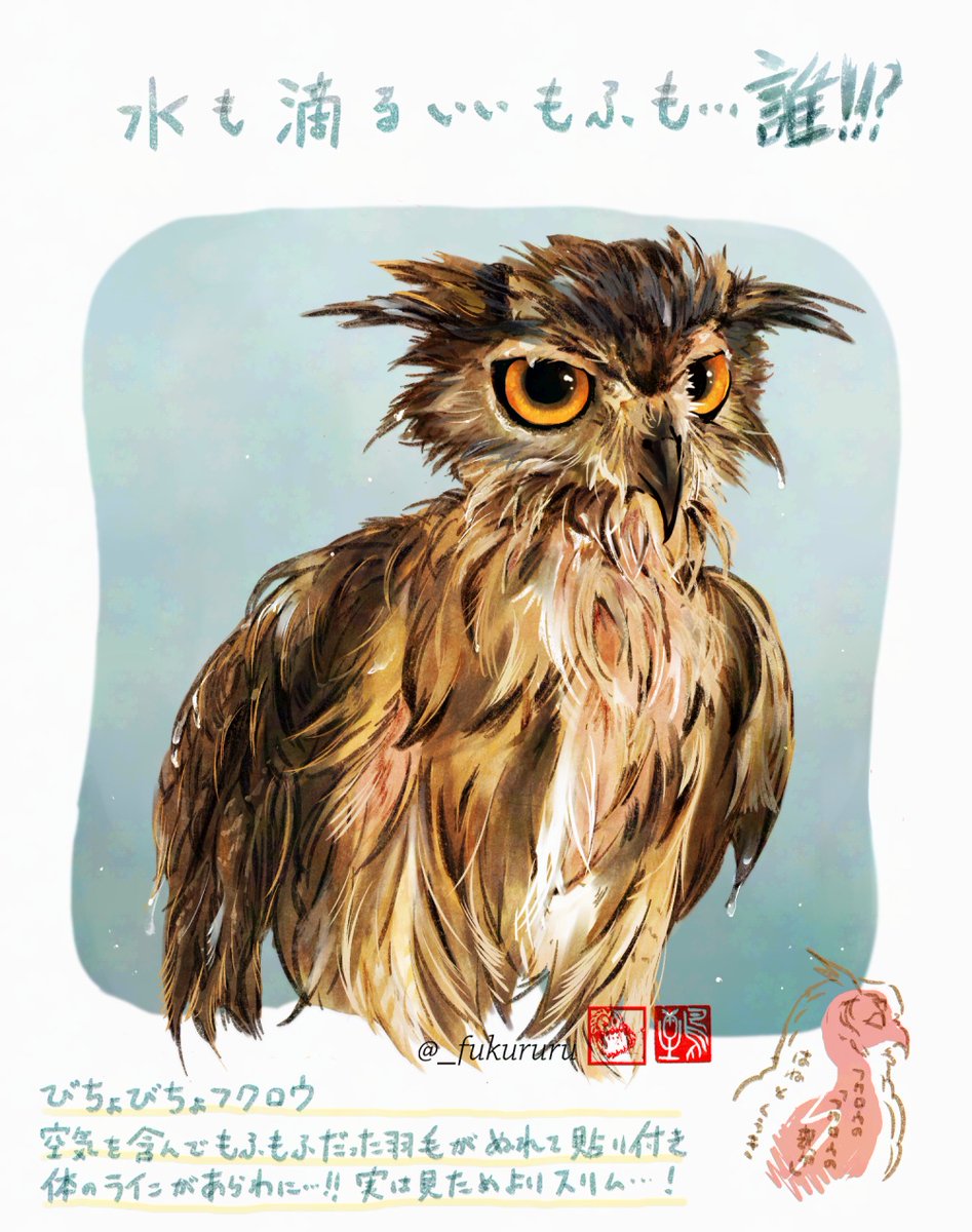 永田 鵄 tweet media