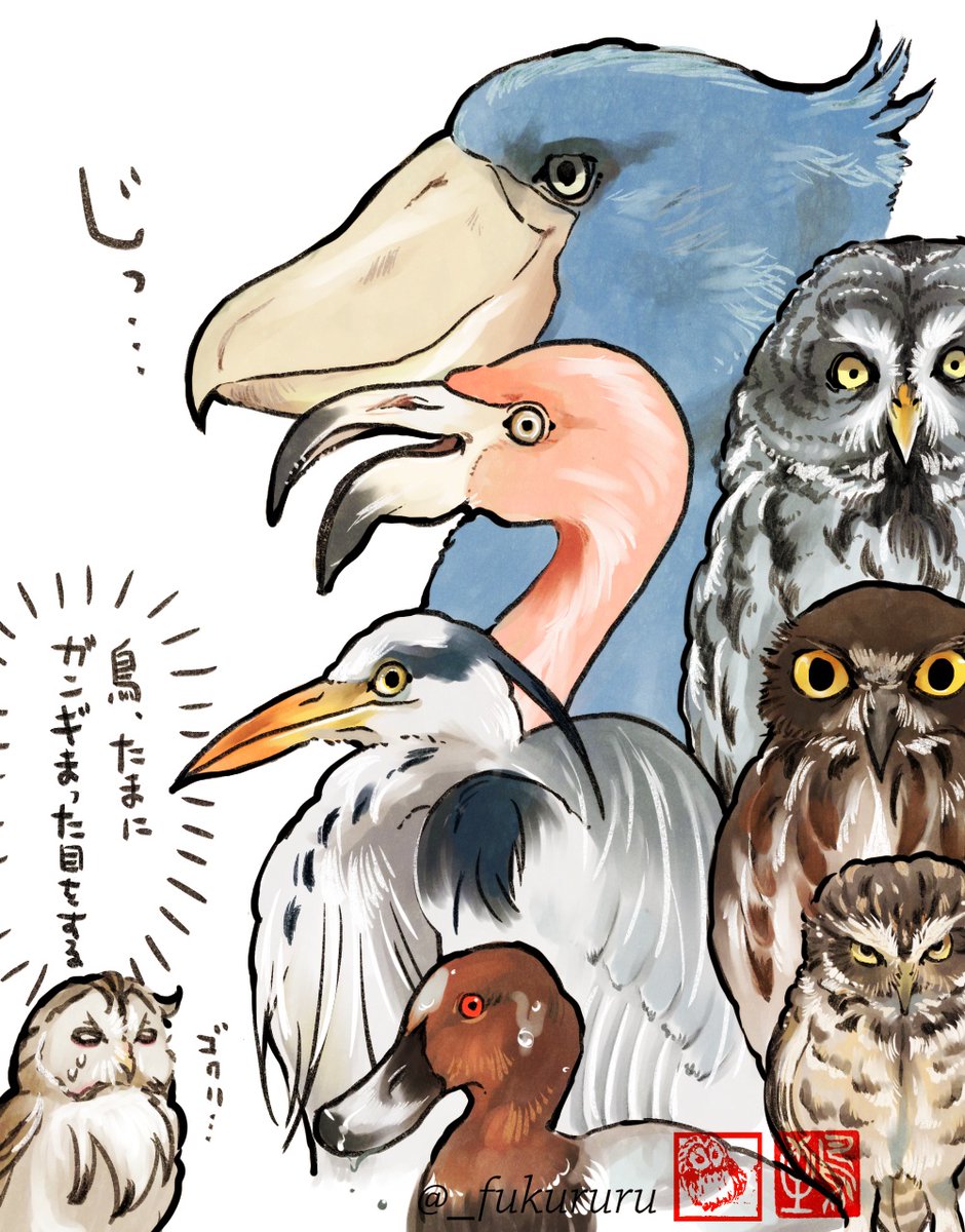 永田 鵄 tweet media