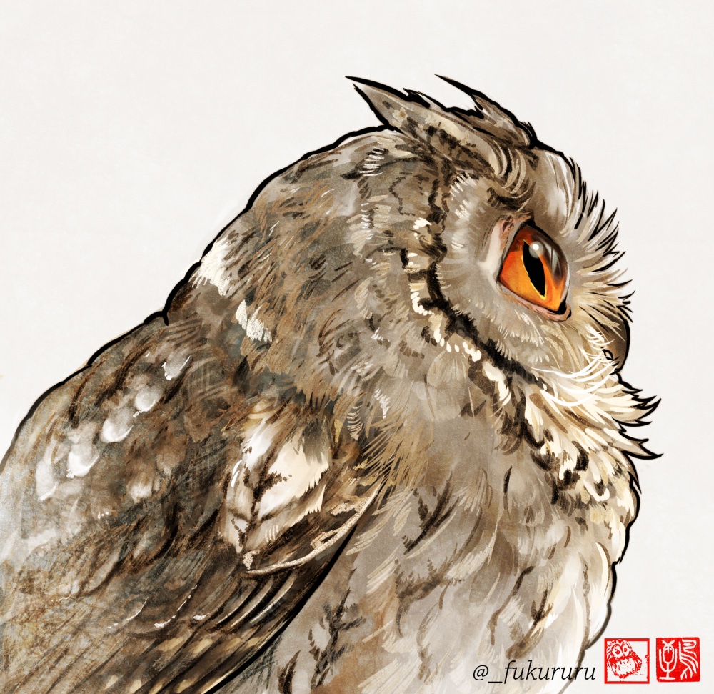 永田 鵄 tweet media