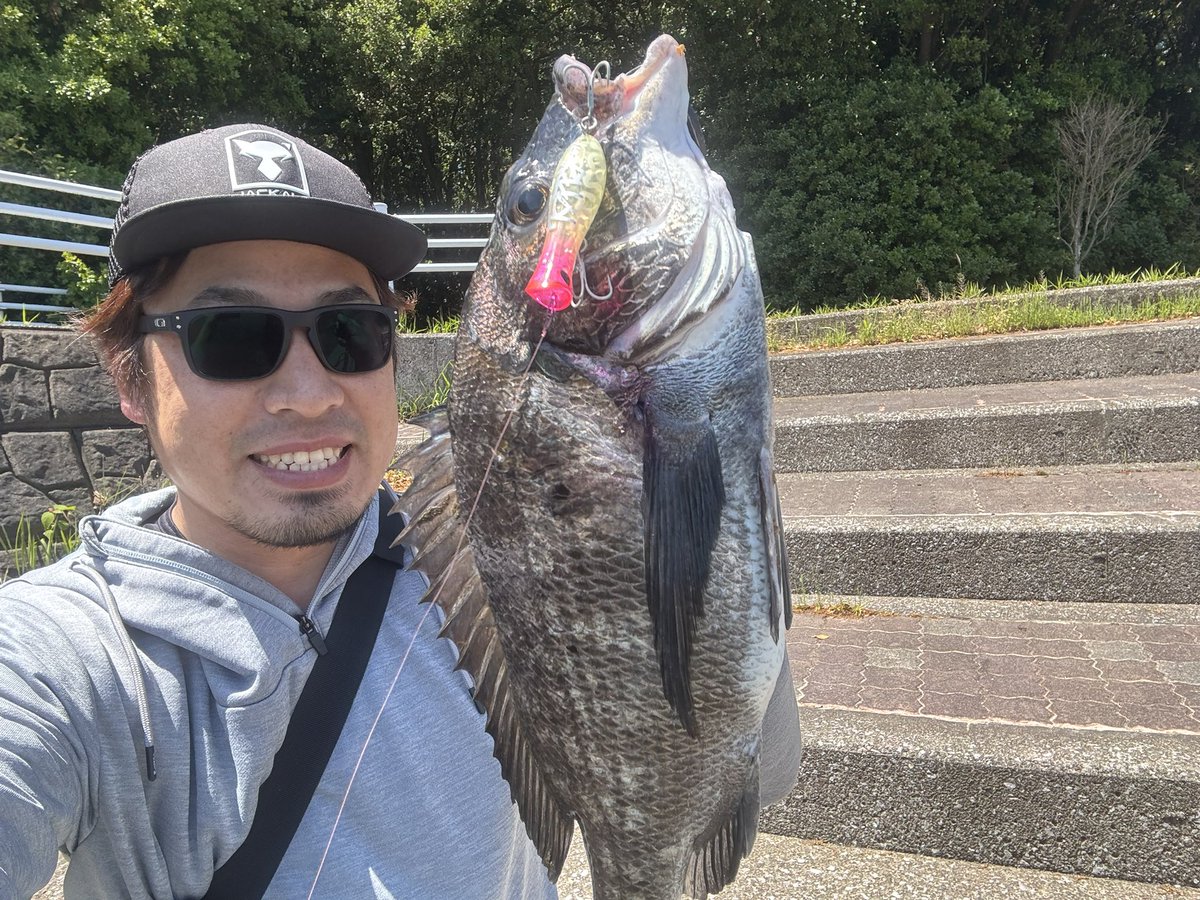 ichimiyan0129's tweet image. 今年は私事では息子の手術やら色々ありましたが、一緒に紅白見て無事に年が越せそうですw
釣り納めは前のイカでしたw
来年はもうちとyoutubeも頑張ろう！では良いお年をー！
#今年のベスト釣果を4枚で振り返る