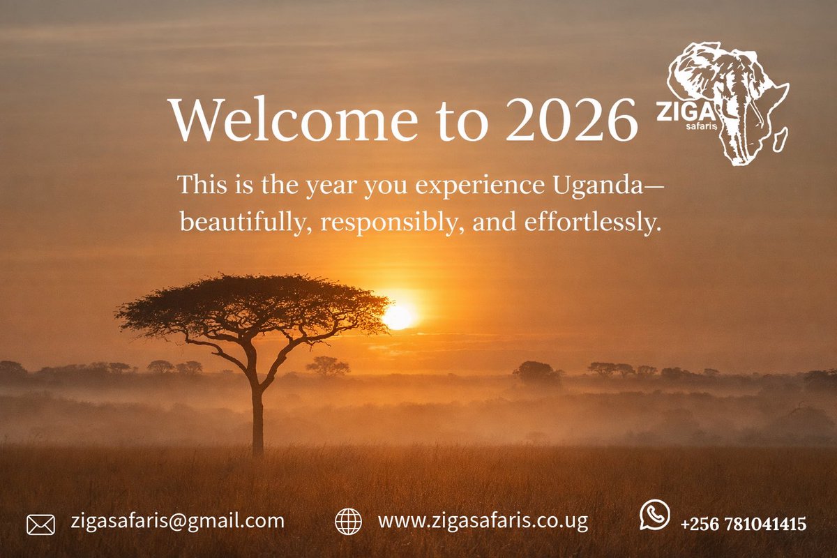 Zigasafaris's tweet photo. May your travels in the new year be filled with unforgettable moments, exciting adventures and breathtaking views! Happy New Year!🎆 https://t.co/FY9WpZlv1P