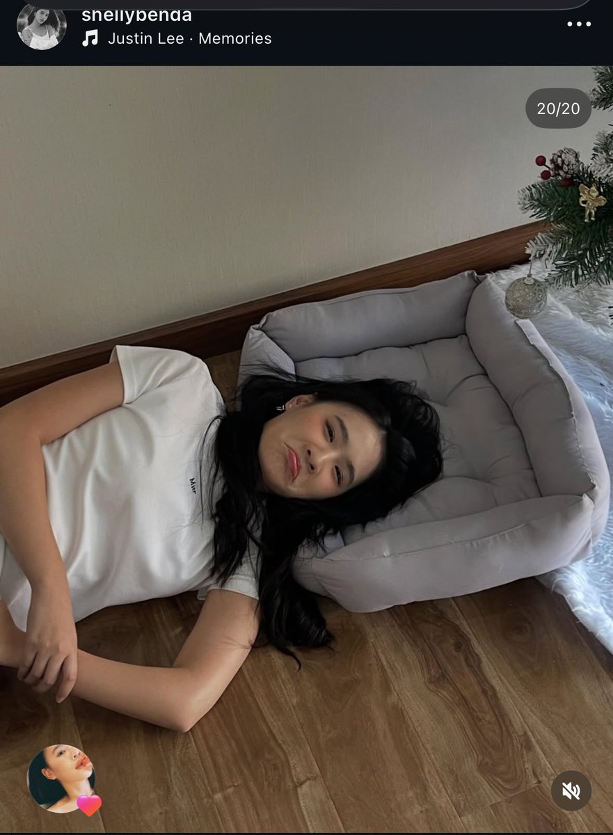 Leia | Teddies 🧸 tweet media