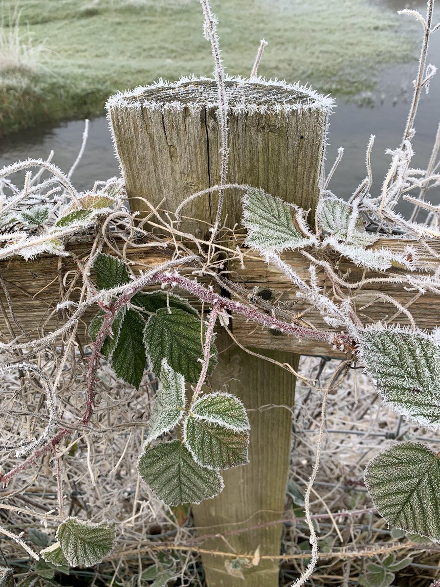 JRS2055's tweet photo. Cold Misty Morning. #Salisbury 🏴󠁧󠁢󠁥󠁮󠁧󠁿 https://t.co/TLw2NMa5Up