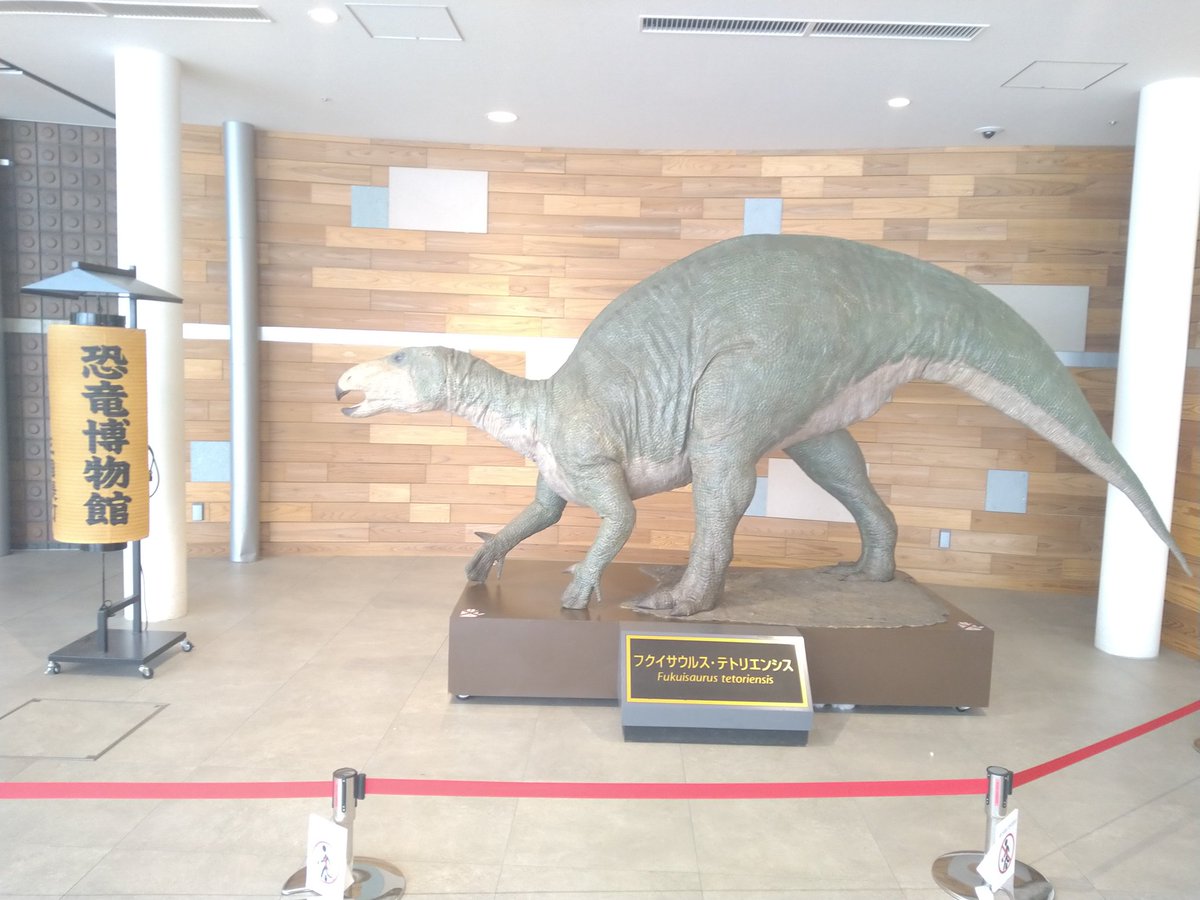 RN_fellows's tweet photo. 年末は北陸（福井&amp;金沢）へ。
1枚目 ＃福井県立恐竜博物館 綺麗な博物館。恐竜好きな人におすすめ。
2枚目 ＃おはなしのつづき @金沢 やっと行けました。昭和初期の建築を現代風にリノベーションした空間。
しっかり蟹も食べれました！
＃アイソトープ @金沢 素敵な古民家カフェでした。 https://t.co/FmJCfQSc6M