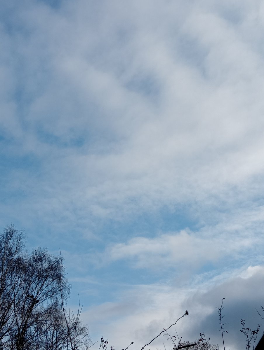 Lavante21575499's tweet photo. More Netherlands, December 31st, 11:30AM. Disgusting #geoengineering #bioterrorism #HAARP #DOPPLER #NEXRAD #EISCAT #agenda2030 Getting cooked again...🤮💀💀 https://t.co/UPu3AmgPtP