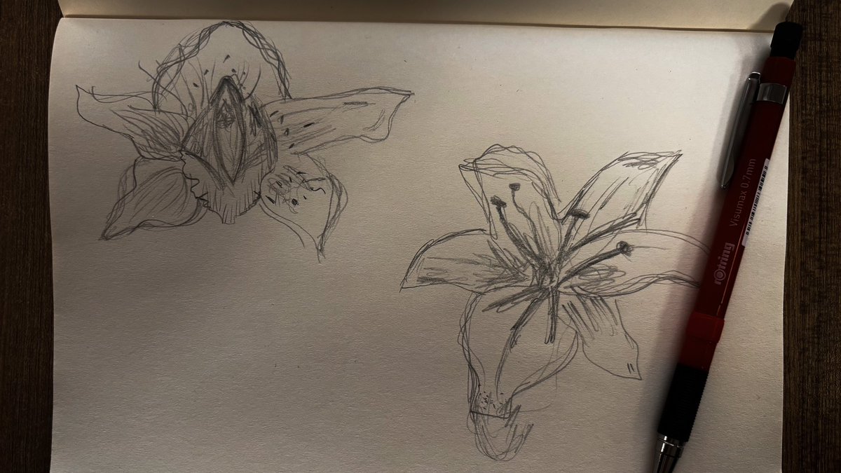 deuil_dautomne's tweet image. loneliness.