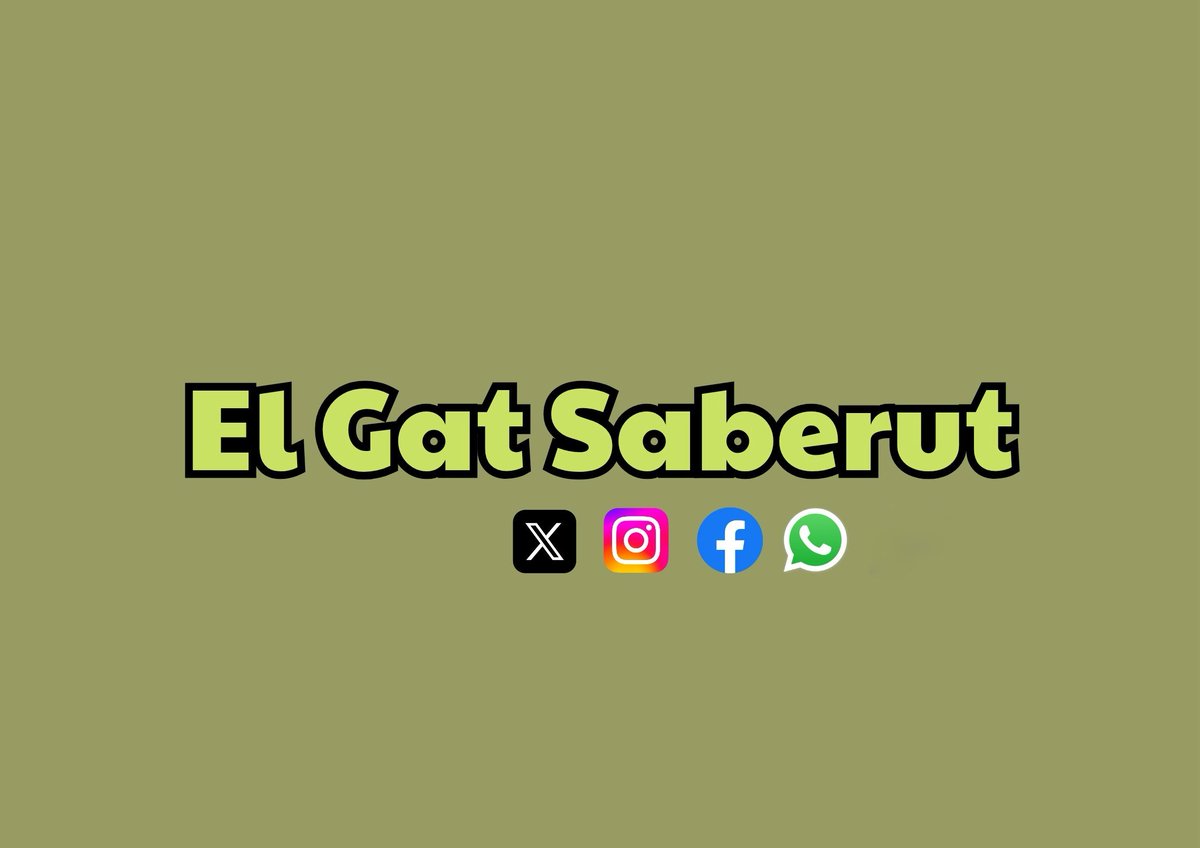 Recordeu que també podeu seguir-me aquí:
Instagram ⬇️
instagram.com/elgatsaberut?i…
Facebook ⬇️
facebook.com/share/15pwYCxm…
WhatsApp ⬇️ 
whatsapp.com/channel/0029Va…
❗Compartiu tot per escampar la divulgació en català, i podeu recomanar-me a familiars i amics ♥️