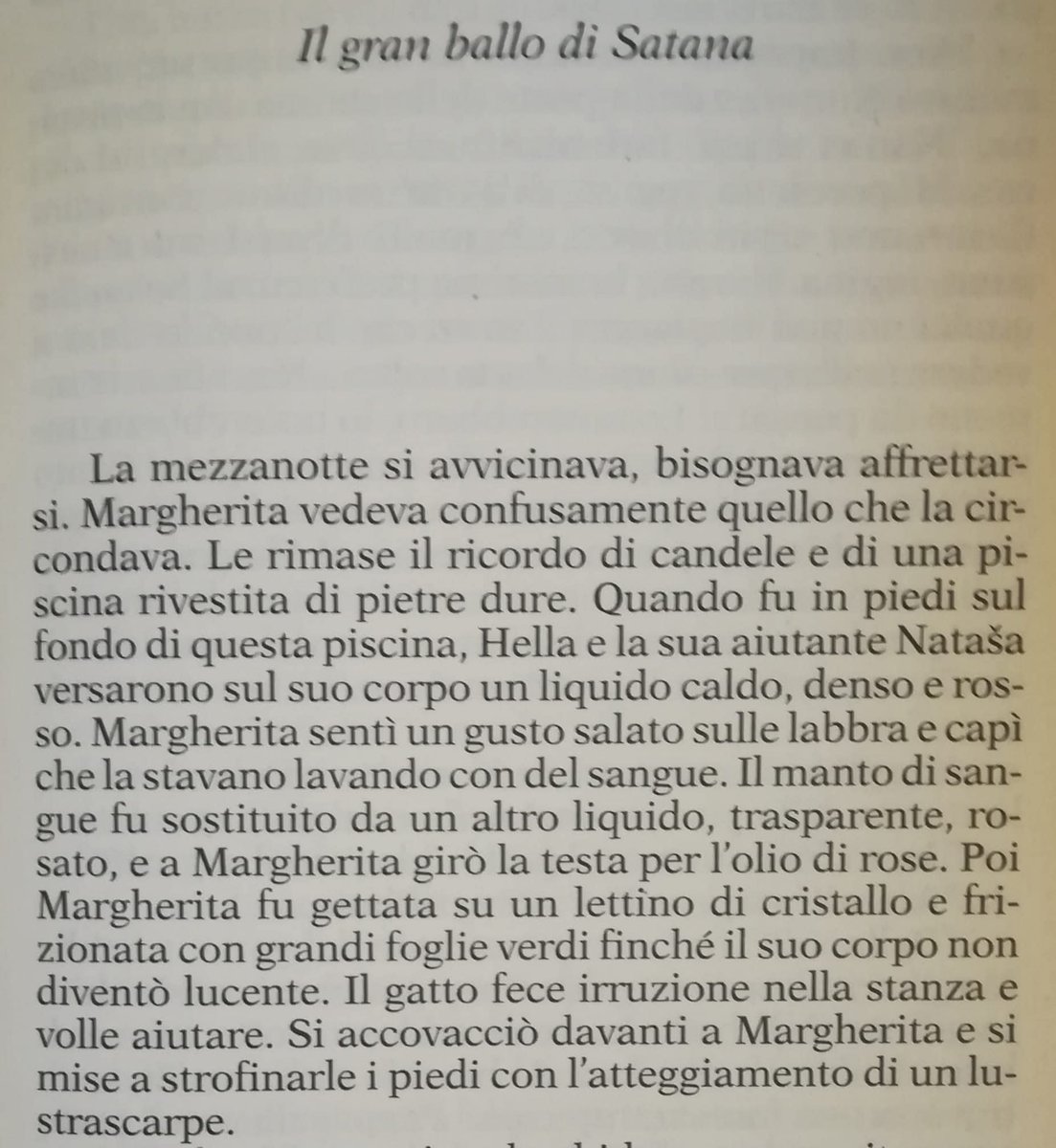 Checco Coniglio tweet media