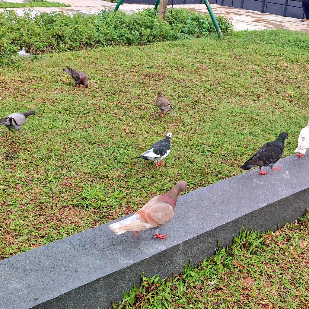 nara 🐧 tweet media