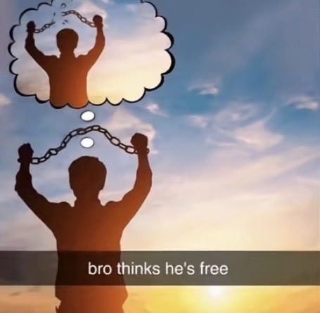 Ree tweet media