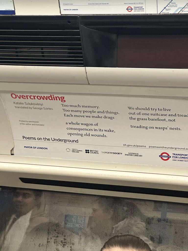 dom green tweet media