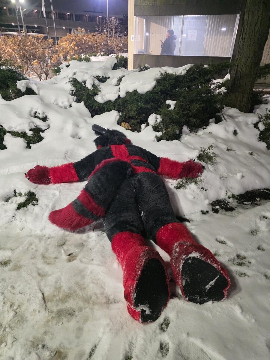 Blade The Wolf tweet media