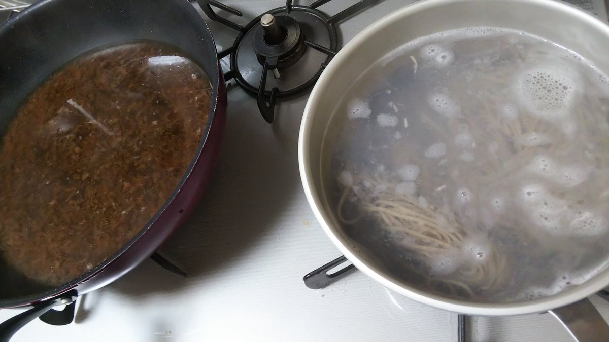 G*u様 ❤️一個体のみ❤️♈️ 939⭐️Ashwood【親株】【EVO•Br 即席のだしつゆを作りながら、蕎麦を茹でている！ 蕎麦だ！蕎麦だ！