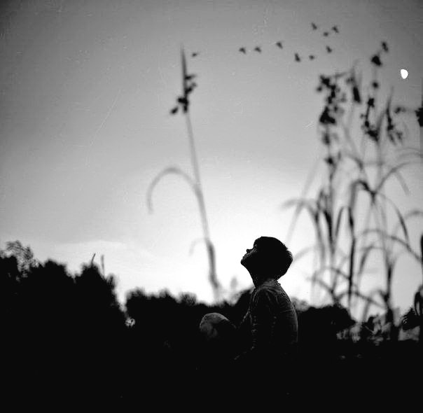 Frances52779614's tweet image. Eppure,
l'Io non è più mio
e nella libertà del nulla,
io sono il mio progetto,
prima del chiedere.

Esisto, dunque oblio -
e in quell'oblio
il nome è tutto,
è niente.

#UnPoeticoSentire
Nomina prima (Disse il nome...)

#BuonAnno2026

#offline
#BricioleDiPensieri