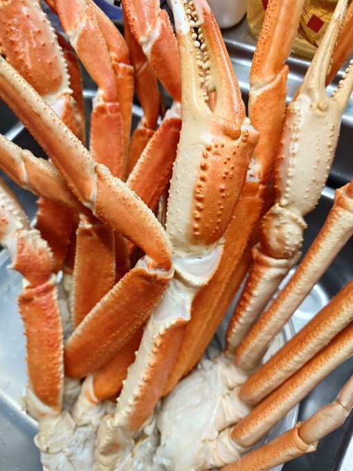 かにたくさんと分厚いぶり(。-`ω-)
ひみ鰤とやらをもろたので地元のすたち鰤と食べ比べŧ‹"(o ' ч ' o)ŧ‹" 