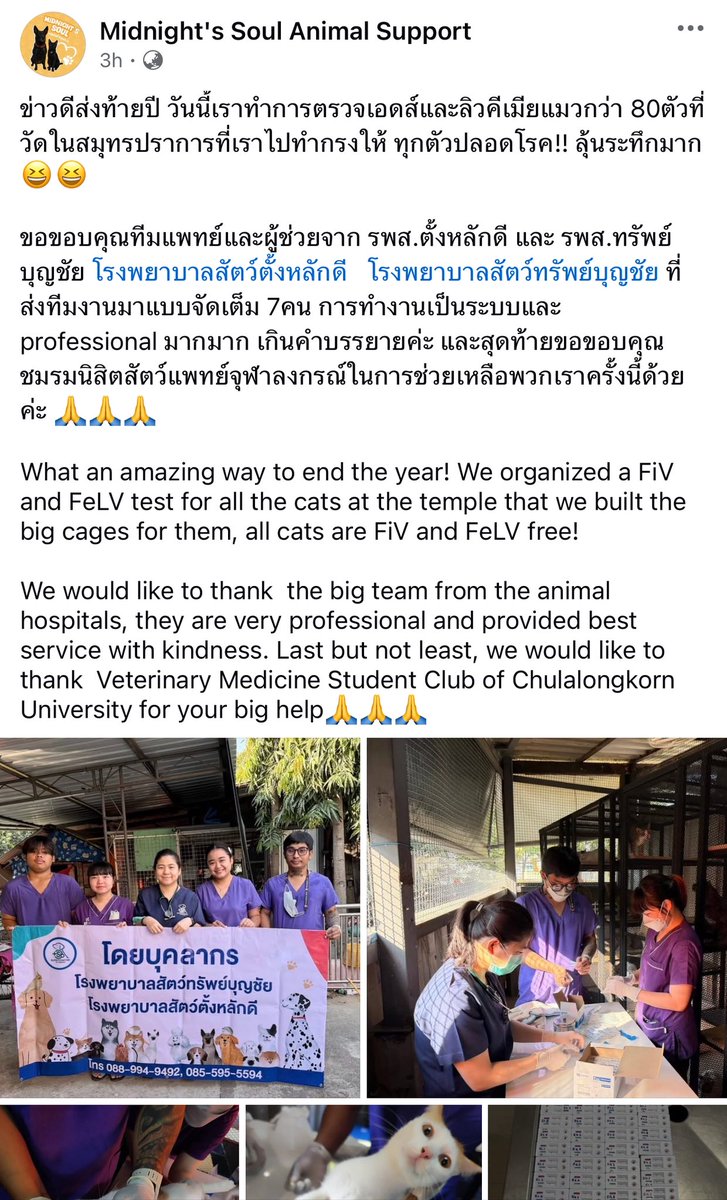 โบนัสเป็นแม่แมว tweet media