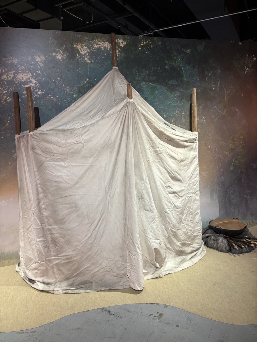 高橋美帆(たかはしみほ) tweet media