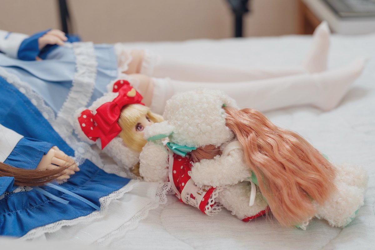 吸い曜日🌪️

今年もありがとうございました😊
#シュガーカップス #シュガカツ