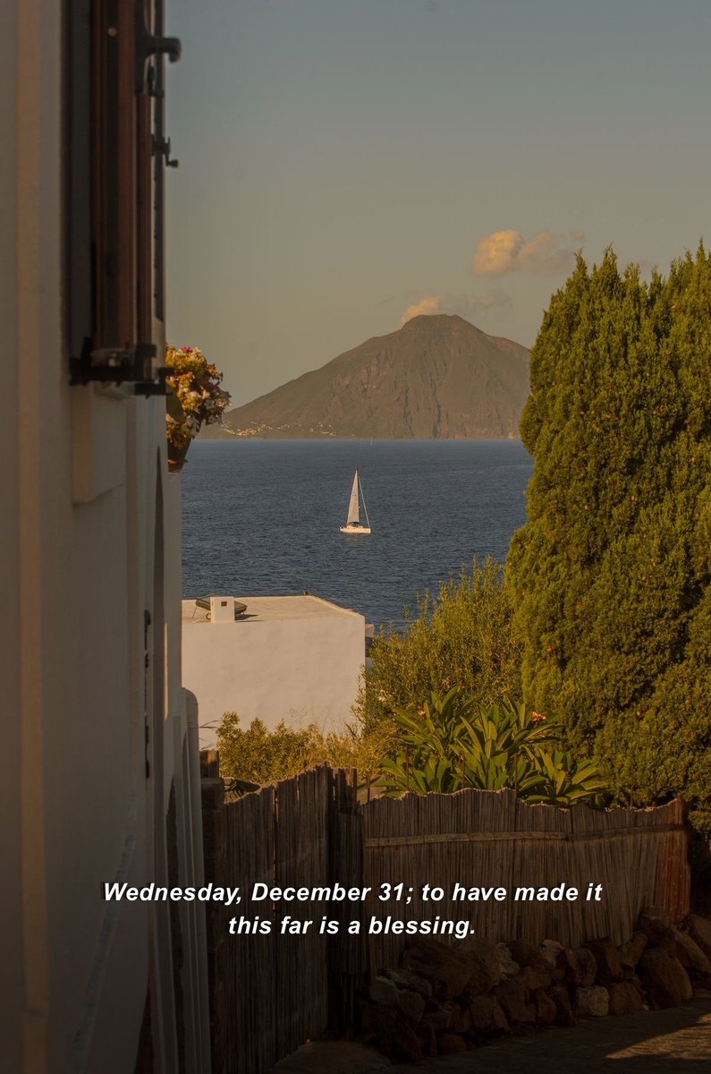 malicknoir's tweet image. Gm. To have made it this year is a blessing. Even better wins in 2026 🙏🏼🤍