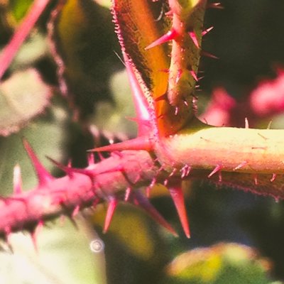 ✧ (@d3usxm4ch1n4) on Twitter photo 