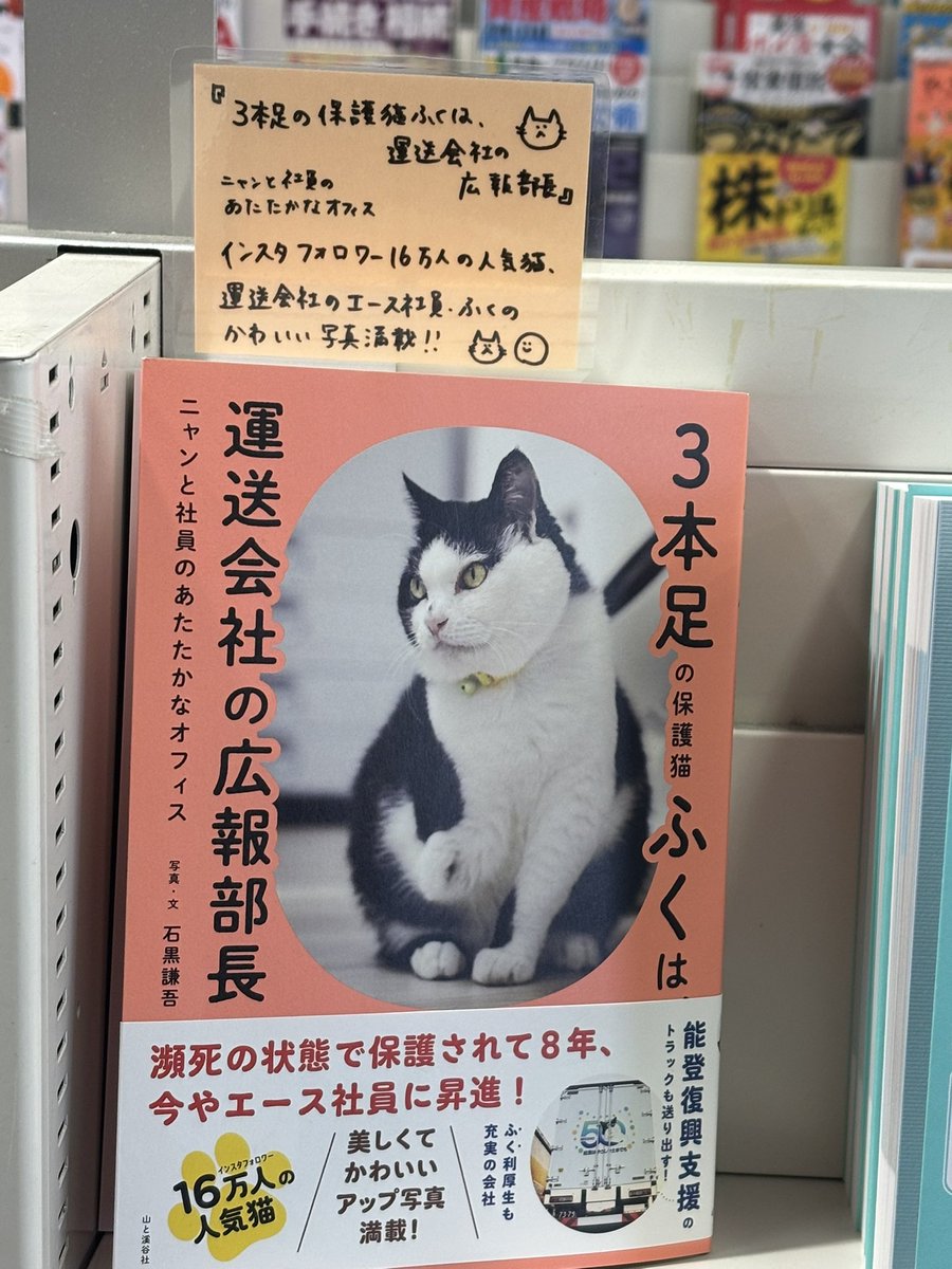 3本足の保護猫ふく😼広報部長 (@fuku_bucho_cat) / Posts / X