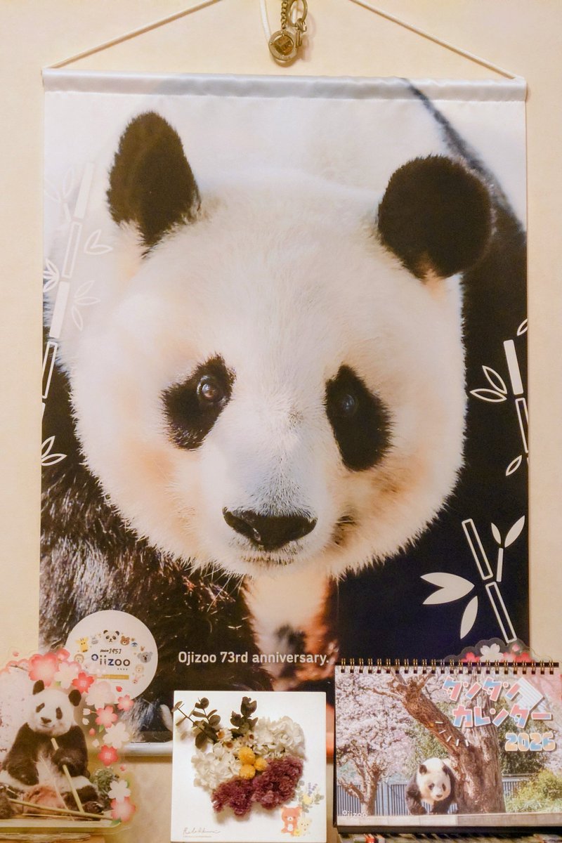 リビングのソファーに座ると正面にいつもタンタンさん
彼女に見守ってもらいながら皆さまとここで色々お話させて頂きました
今年一年ありがとうございました
良いお年をお迎え下さいませ
2025.12.31