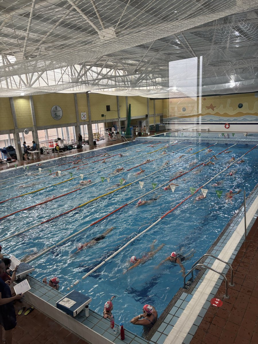 EvaGalanMoya's tweet photo. Acabando el año cómo se merece: con deporte solidario de la mano de CD Albacete Swim en beneficio de #STOPCancer para frenar el #cancercerebral #glioblastoma
Gracias a todos los que os habéis animado a nadar la #SanSilvestre
https://t.co/tAtDFxhIB8 https://t.co/ZSErWCMSCc