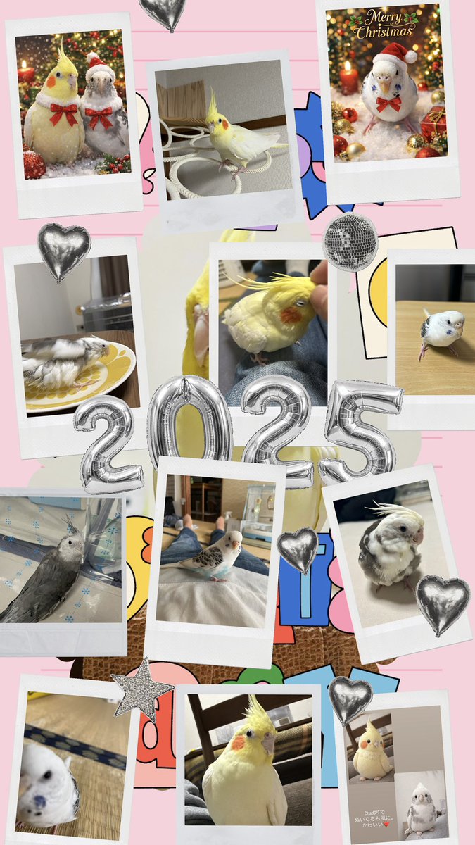 67_kumako's tweet photo. 今年はごまちゃんをお迎えし、賑やかな年となりました。
来年もよろしくお願いいたします。
↓つばちゃん🐧を1枚だけ混ぜてみました🤭 https://t.co/e4IcuOn8BH