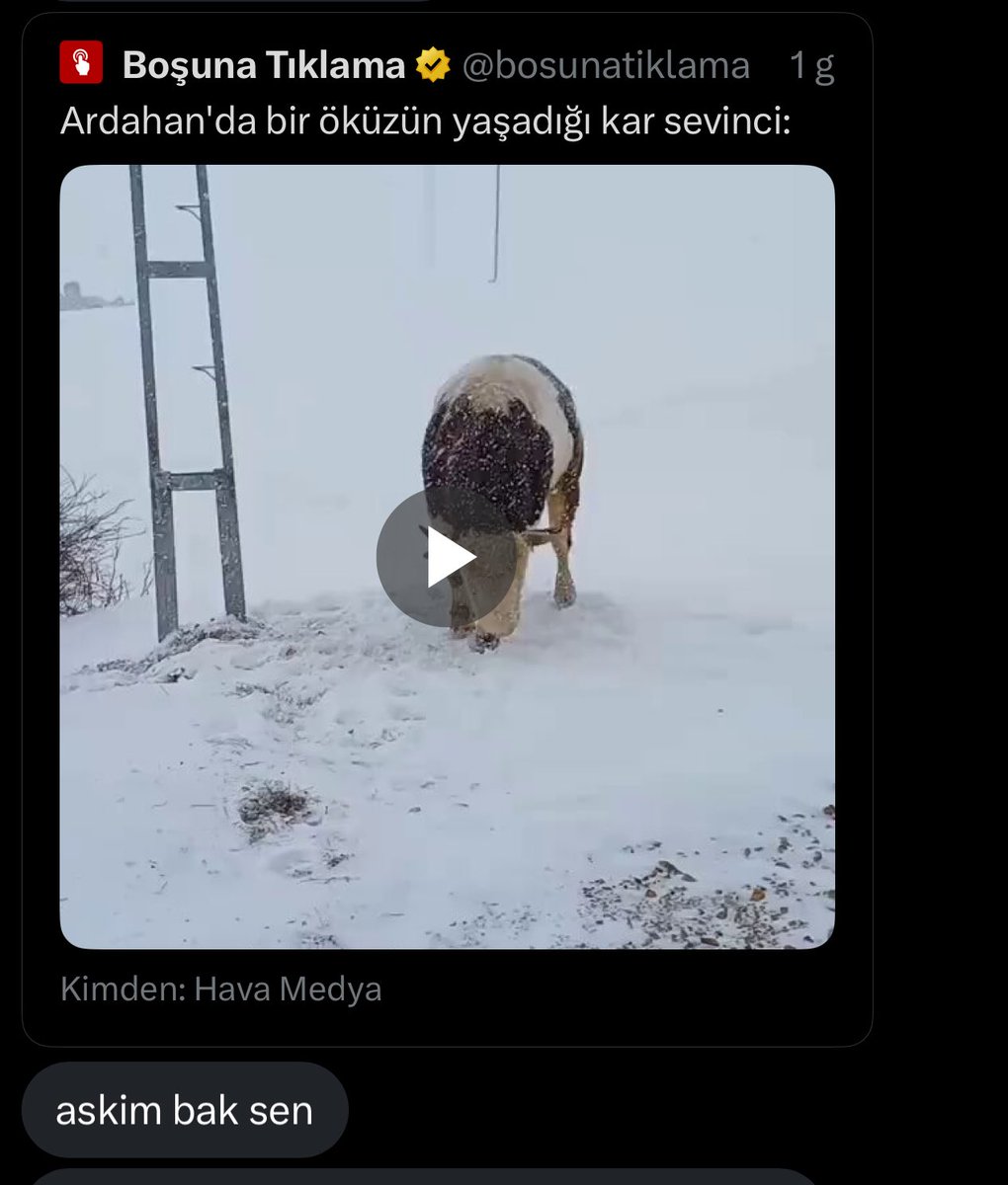 öner (@poseido_n_) on Twitter photo 