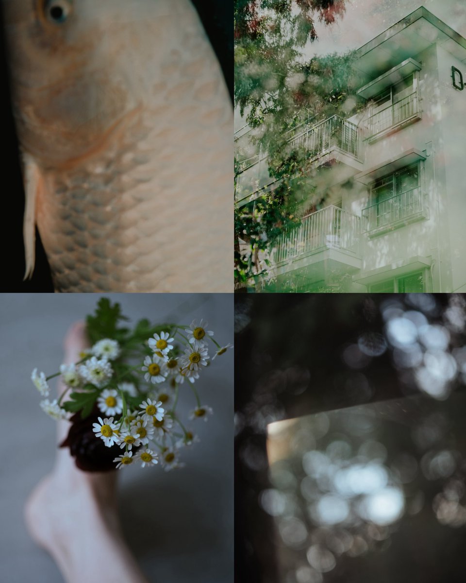 小豆ページ 2025年 初めての展示に挑戦したり、たくさんの素敵な方々と繋がること