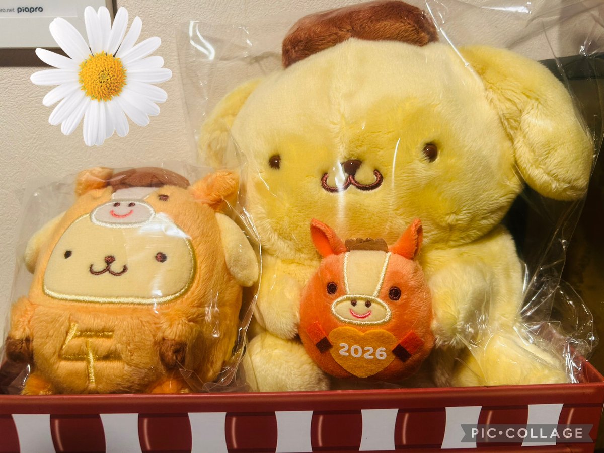 カイ (∂.∂)ノ🍮 (@rikio1221) / Posts / X