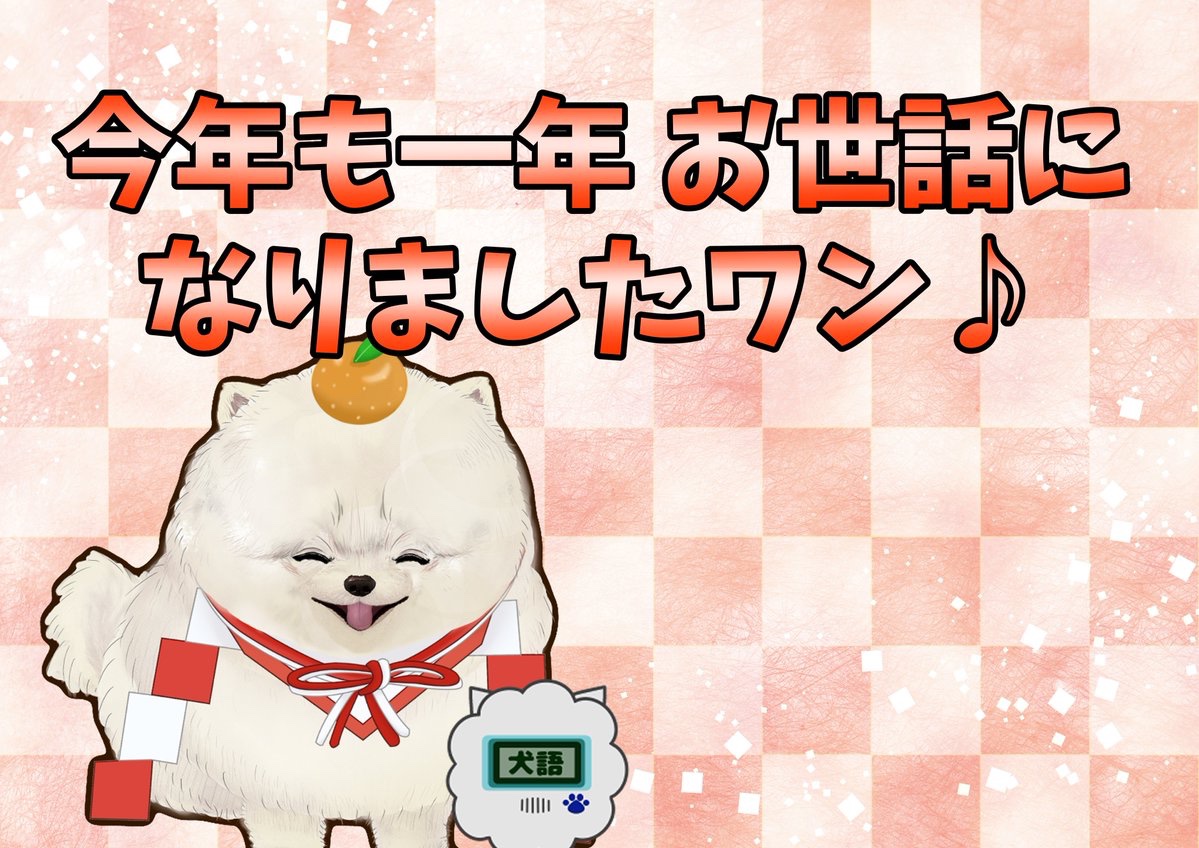 ポメころび❣️ レボニック社より新製品サンプルが届きました！ Sara Moa PORO RAMZY