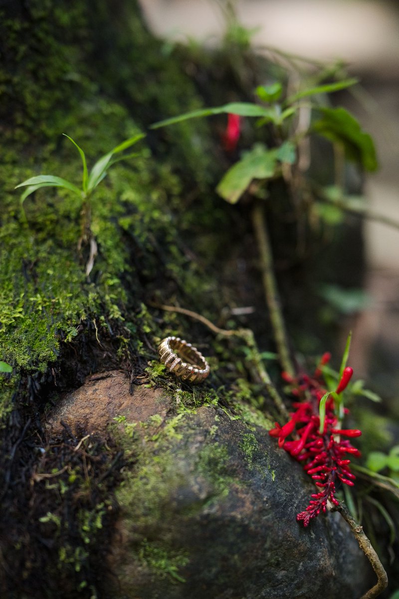 We walked up to the waterfall, and suddenly Nila went down on one knee. She surprised Ashtyn so much that she didn't think it was a real proposal. She realized that around 20 minutes later, after we had continued taking engagement pictures. 🤣

A perfect end to a memorable year.