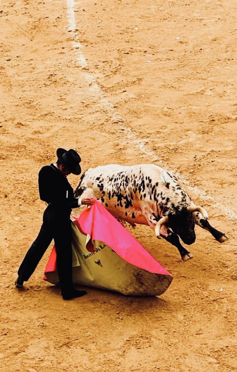 𝘯𝘪𝘤𝘰𝘢𝘭𝘷𝘢𝘳𝘰 tweet media