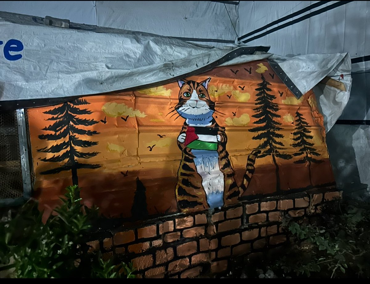 RescueCare's tweet image. ✨🐾 As we approach the new year, I want to express my heartfelt gratitude to all the friends who stood by us during our struggles.🫂🙏🤍🌸 Gaza, filled with sorrow, has presented many challenges, but thanks to you, we have felt that we are not alone.🙏🫶🏻 Every moment of support…