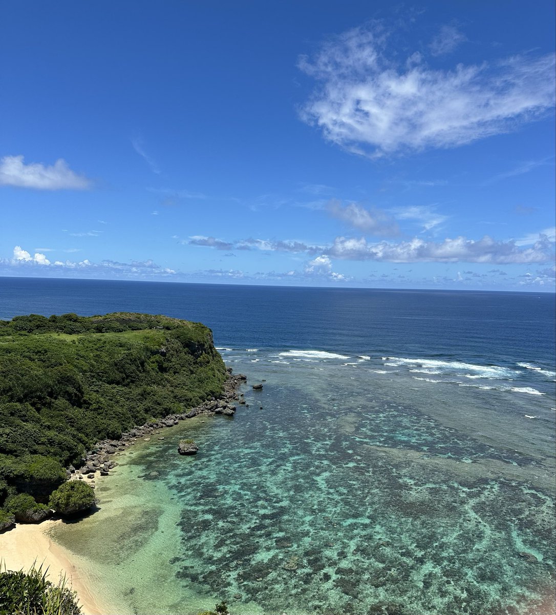 looomin_staff's tweet photo. 2025年もあと少しですね。
今年も一年、るーみんチャンネルをご視聴いただき、ありがとうございました😊
来年もよろしくお願いします🙇
良いお年をお迎えください❗️ https://t.co/G1l4pVQcbp