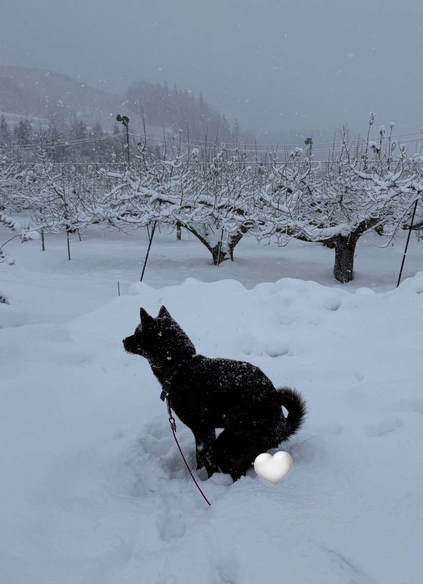 今年最後のよいしょー！！
全部出して清々しく新年迎えましょう✨