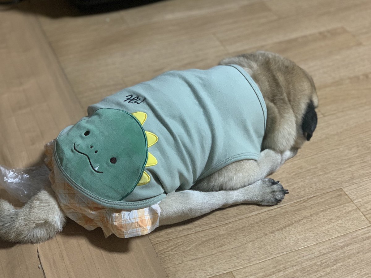 お帰りお兄ちゃん

怪獣より愛を込めて💕