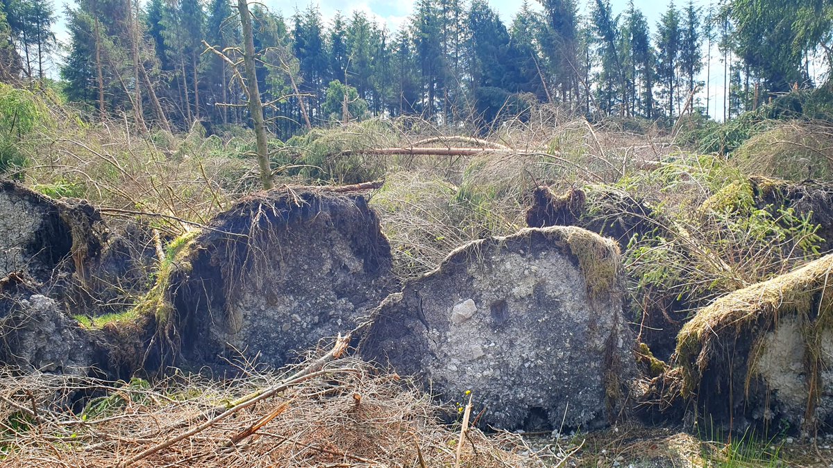 Save Leitrim tweet media